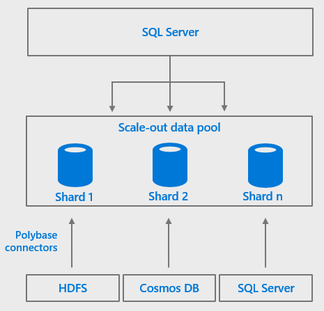 Sql server 2019 developer. Архитектура SQL Server. Архитектура MS SQL Server. Модель базы данных системы виртуализации. SQL big data это.